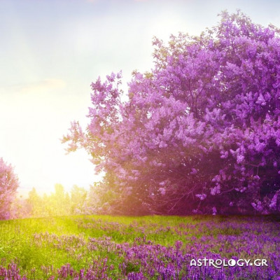 Ημερήσιες Προβλέψεις για όλα τα ζώδια, 6/5