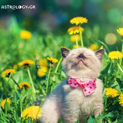 Ημερήσιες Προβλέψεις για όλα τα ζώδια, 7/5