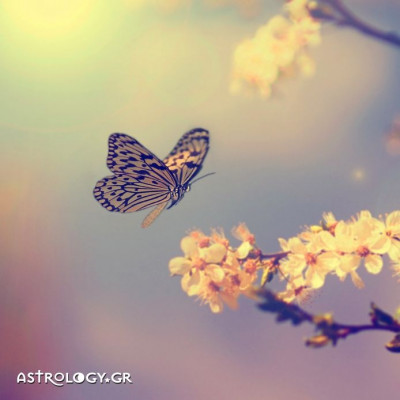 Ημερήσιες προβλέψεις για όλα τα ζώδια, 13/5