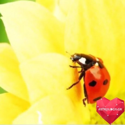 Ζώδια Σήμερα: Σελήνη στον Αιγόκερω