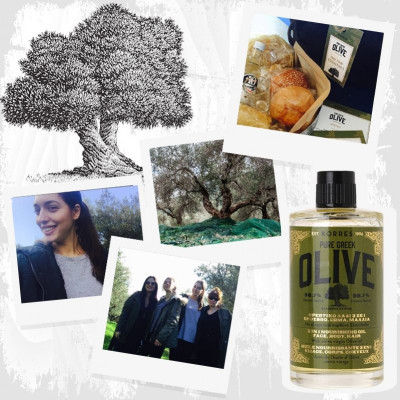 Το ταξίδι στην Κρήτη και η σειρά της Κορρές, Pure Greek Olive!