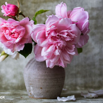 Ημερήσιες προβλέψεις για όλα τα ζώδια, 22/5