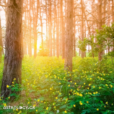 Ημερήσιες προβλέψεις για όλα τα ζώδια, 26/5