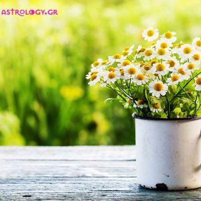 Ημερήσιες προβλέψεις για όλα τα ζώδια, 29/5
