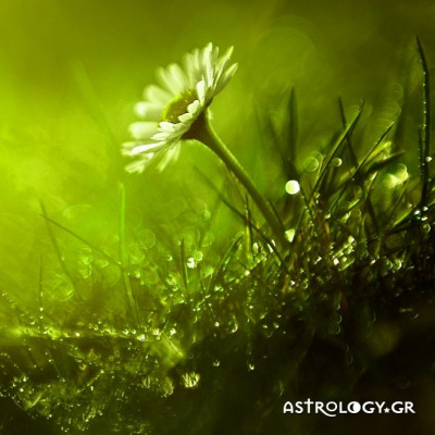 Ημερήσιες προβλέψεις για όλα τα ζώδια, 10/6