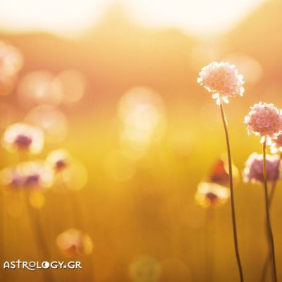 Ημερήσιες προβλέψεις για όλα τα ζώδια, 15/6