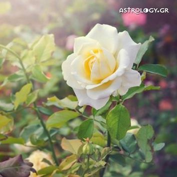 Ημερήσιες προβλέψεις για όλα τα ζώδια, 20/6