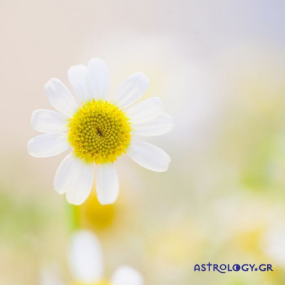 Ημερήσιες προβλέψεις 22/6