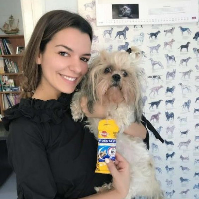 Μήνας Στοματικής Φροντίδας Pedigree® DentaStix™!