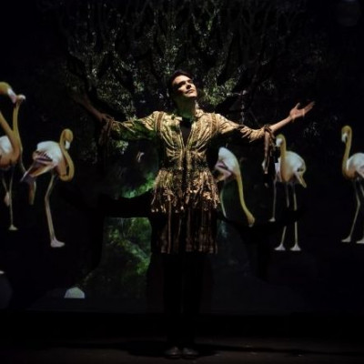 «Το δέντρο της γνώσης», από το Εργοστάσιο Ονείρου στην Τήνο