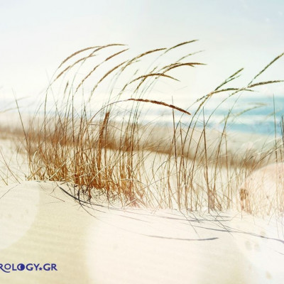 Ημερήσιες προβλέψεις για όλα τα ζώδια, 24/8