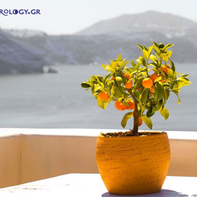 Ημερήσιες προβλέψεις για όλα τα ζώδια, 18/9