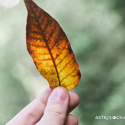 Ημερήσιες, Τρίτη 22/8