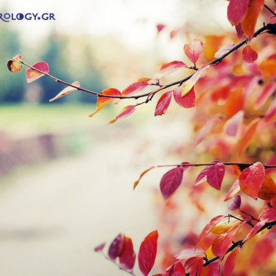 Ημερήσιες προβλέψεις για όλα τα ζώδια, 24/9