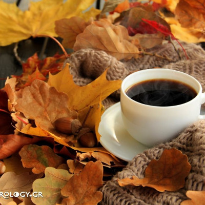 Διάβασε τις Ημερήσιες Προβλέψεις του ζωδίου σου, από τον Γιάννη Ριζόπουλο