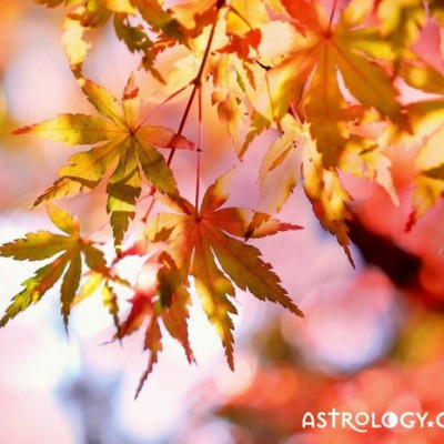 Τι λένε τα άστρα για τον Οκτώβριο 2017;