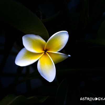 Ημερήσιες προβλέψεις για όλα τα ζώδια, 8/10