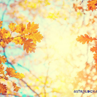 Ημερήσιες προβλέψεις για όλα τα ζώδια, 12/10