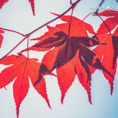 Ημερήσιες Προβλέψεις για όλα τα Ζώδια 17/10