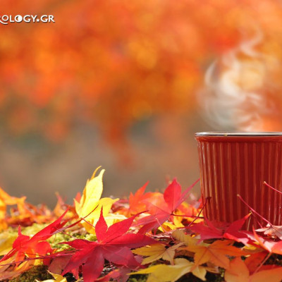 Ημερήσιες προβλέψεις για όλα τα ζώδια, 19/10