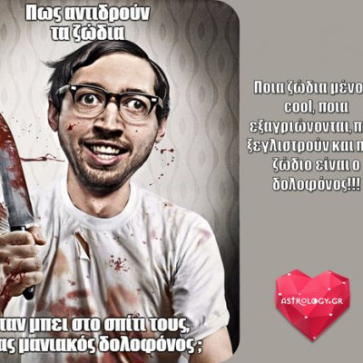 Πώς αντιδρούν τα ζώδια όταν μπει ο μανιακός δολοφόνος στο σπίτι τους