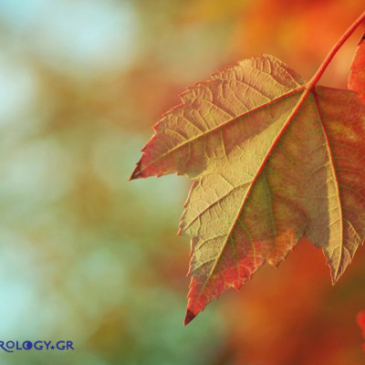 Ημερήσιες προβλέψεις για όλα τα ζώδια, 23/10