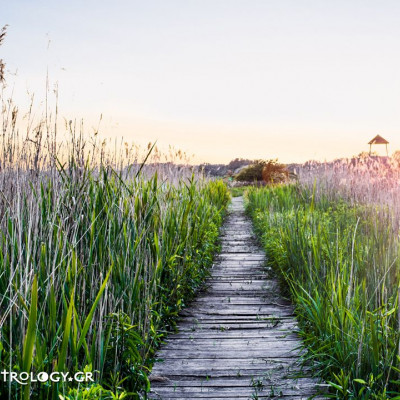 Ημερήσιες προβλέψεις για όλα τα ζώδια, 26/10