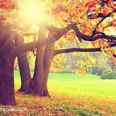 Ημερήσιες προβλέψεις για όλα τα ζώδια, 28/10