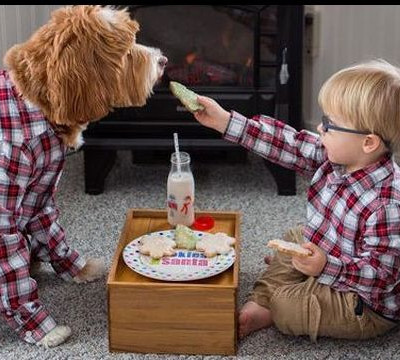 Παιδί και κατοικίδιο: 3 diy κατασκευές για να κυκλοφορούν με ασφάλεια στο σπίτι παιδιά & κατοικίδια