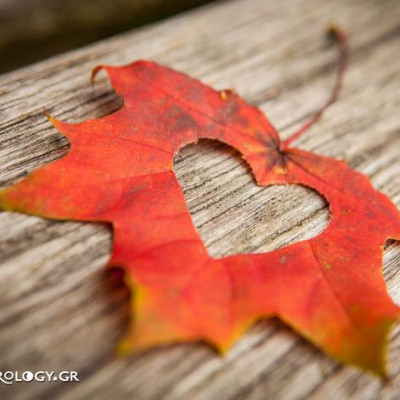 Ερωτικές Προβλέψεις για όλα τα Ζώδια, 30/10