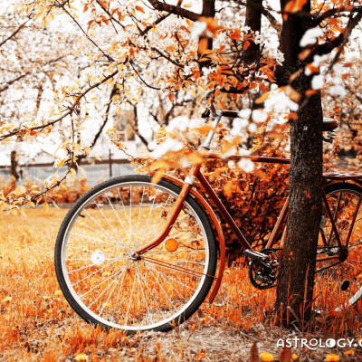 Ημερήσιες προβλέψεις για όλα τα ζώδια, 5/11