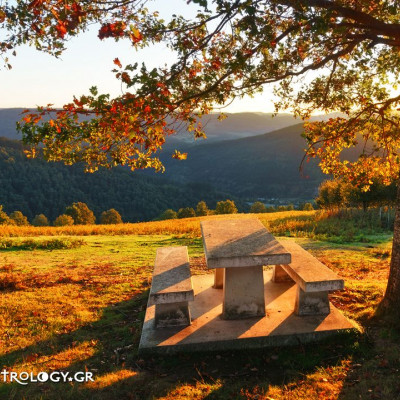 Ημερήσιες Προβλέψεις για όλα τα ζώδια, 7/11
