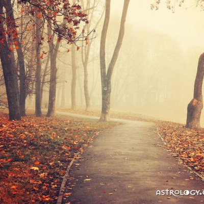 Ημερήσιες Προβλέψεις για όλα τα Ζώδια 08/11