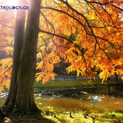 Ημερήσιες Προβλέψεις για όλα τα Ζώδια 16/11