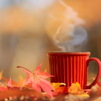 Ημερήσιες Προβλέψεις για όλα τα Ζώδια 26/11