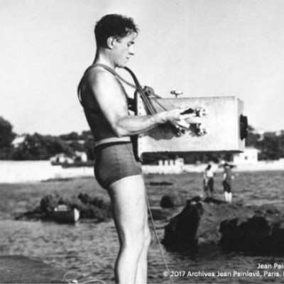 Δεκέμβριος στο Exile Room: Τρελοί φυσιοδίφες εν δράσει!