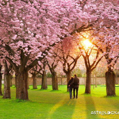Ερωτικές Προβλέψεις για όλα τα Ζώδια, 20/03