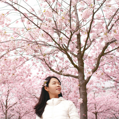 Πώς το Ikigai θα σε βοηθήσει να βρεις την ευτυχία και τον σκοπό της ζωής σου