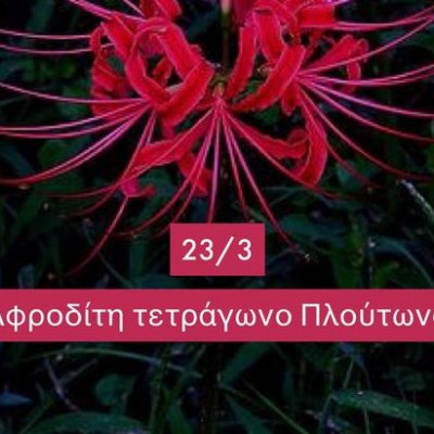 Ζώδια Σήμερα 23/3: Μοιραίοι έρωτες, πάθη και ζήλια