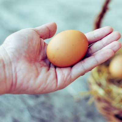 Οι τροφές με τα περισσότερα «καλά» λιπαρά (εικόνες)