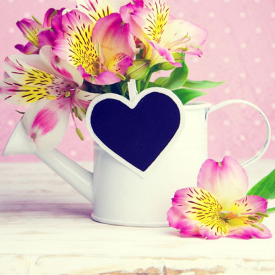 Ερωτικές Προβλέψεις για όλα τα Ζώδια, 08/05