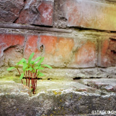 Ζώδια Σήμερα 13/5: Η πιο υπέροχη έκπληξη είναι να ανακαλύπτεις το τι μπορείς να κάνεις!