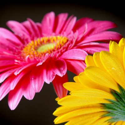 Ζώδια Σήμερα 18/5: Εκτέλεση των καθηκόντων με συνέπεια και σοβαρότητα