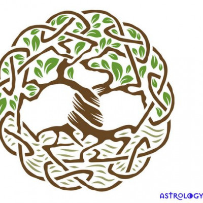 Αυτό το ζώδιο είσαι στο Κέλτικο ωροσκόπιο αν έχεις γεννηθεί από 13 Μαΐου έως 9 Ιουνίου