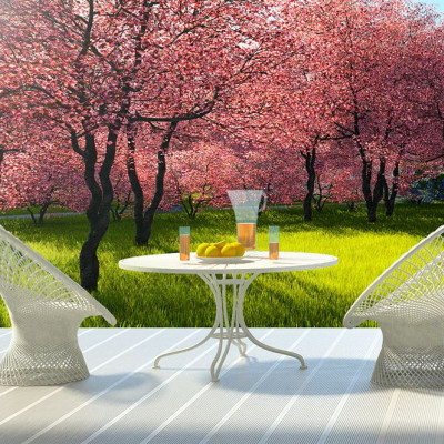 Ημερήσιες Προβλέψεις για όλα τα Ζώδια 28/05