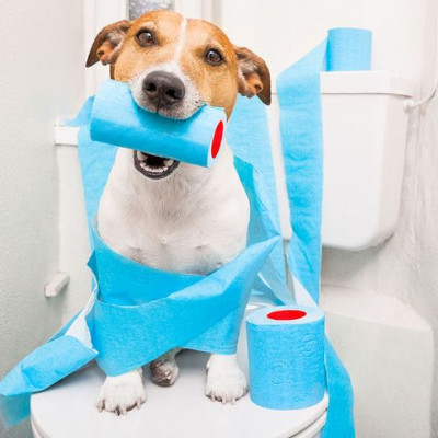 Ούρα & υγεία: Ανησυχητικές αλλαγές στο χρώμα & στη συχνότητα