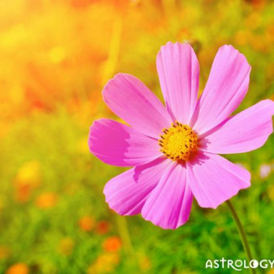 Ζώδια Σήμερα 9/6: Φουλ επίθεση!