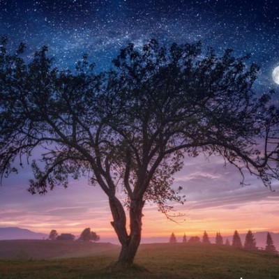 Ζώδια Σήμερα 28/6: Όλα του γάμου δύσκολα...