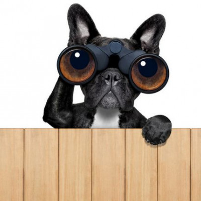 Το νου σου! Αυτά τα 4 ζώδια μπορεί να σε παρακολουθούν...