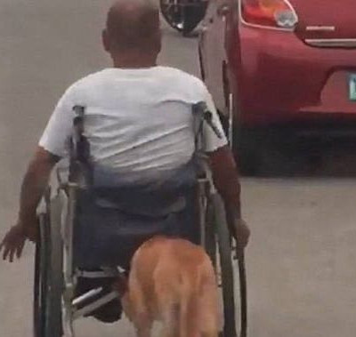 Συγκλονιστικό βίντεο: Σκύλος σπρώχνει το αναπηρικό καροτσάκι του αφεντικού του